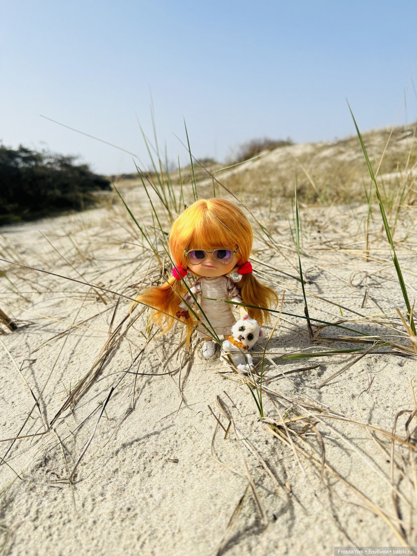 Как Пуговка кота своего выгуливала (фото 10)