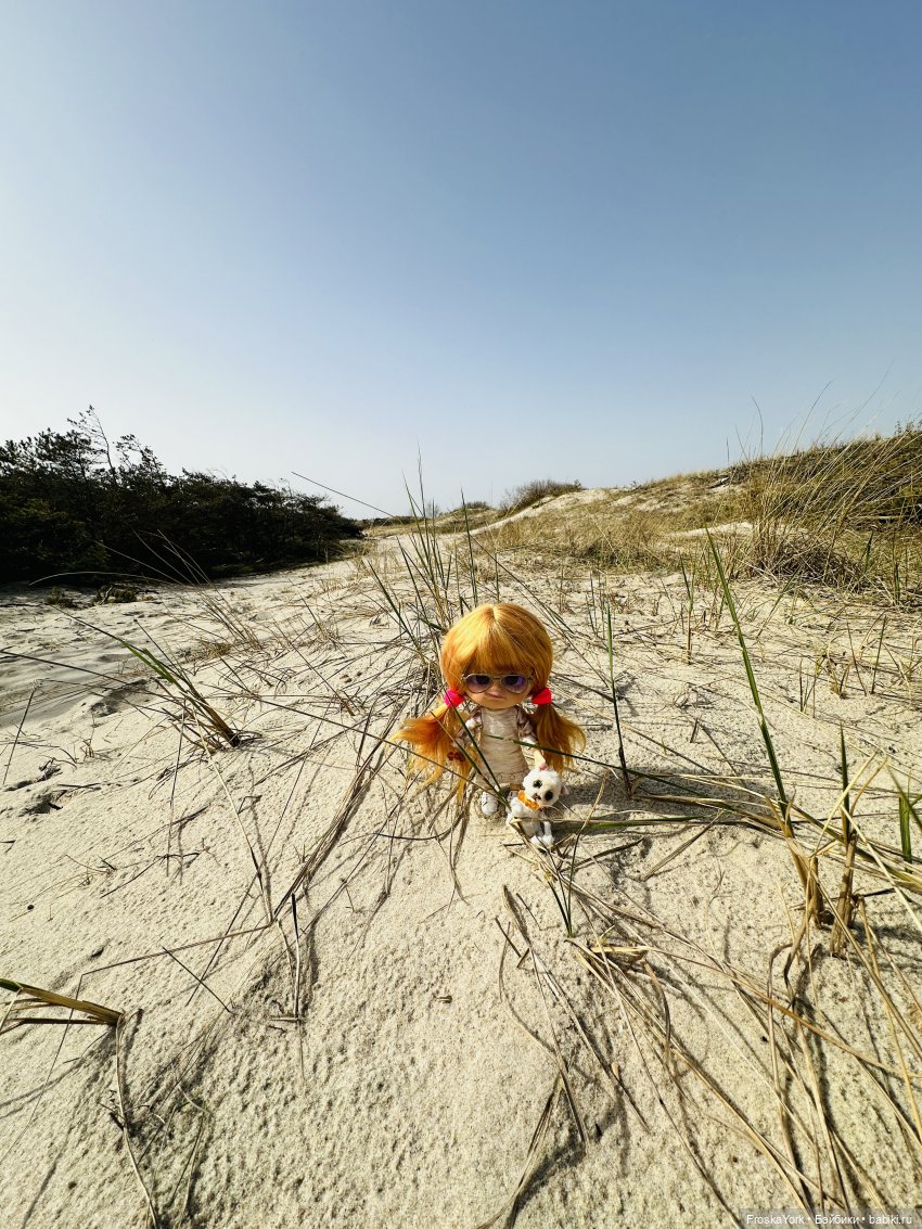 Как Пуговка кота своего выгуливала (фото 8)