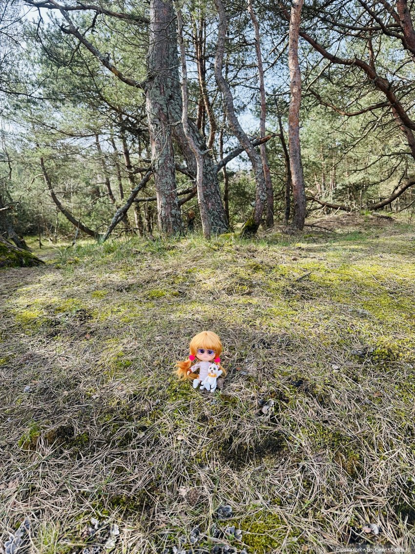 Как Пуговка кота своего выгуливала