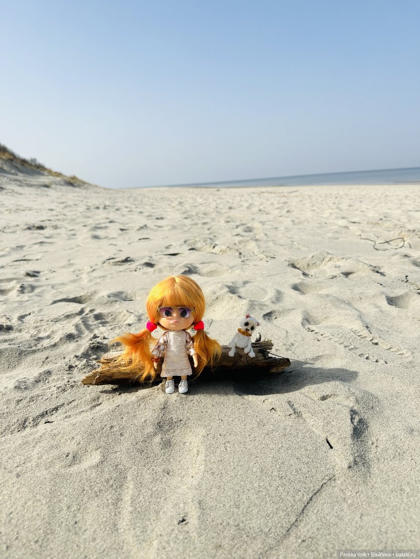 Как Пуговка кота своего выгуливала (фото 6)