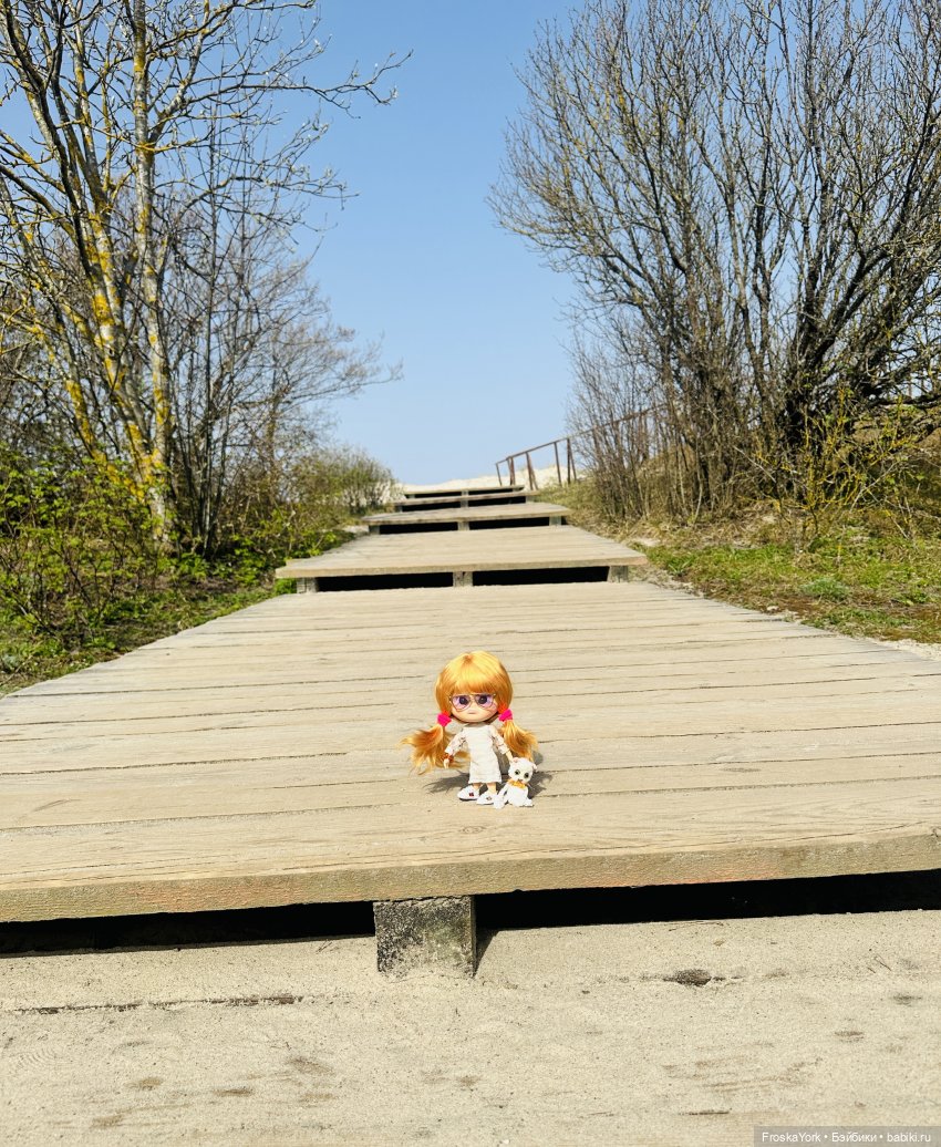 Как Пуговка кота своего выгуливала (фото 2)