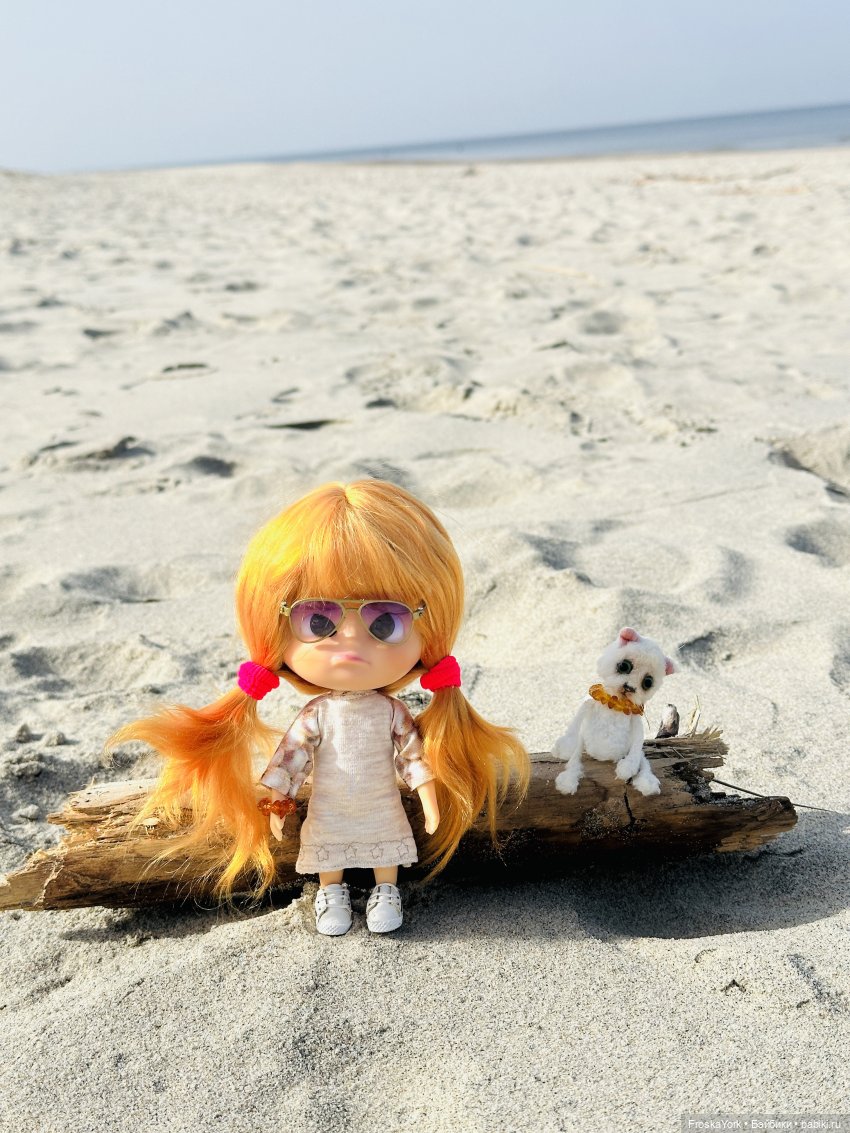 Как Пуговка кота своего выгуливала (фото 7)