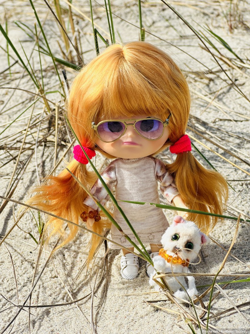 Как Пуговка кота своего выгуливала (фото 9)