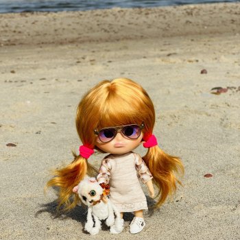 Как Пуговка кота своего выгуливала