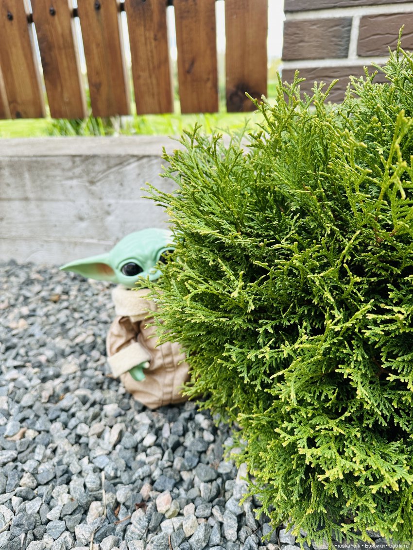 Как Беби-Йода братика нашел