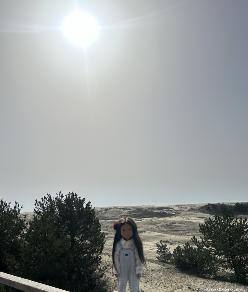 Мотя 2024, Куршская Коса, Высота Эфа❤️❤️❤️