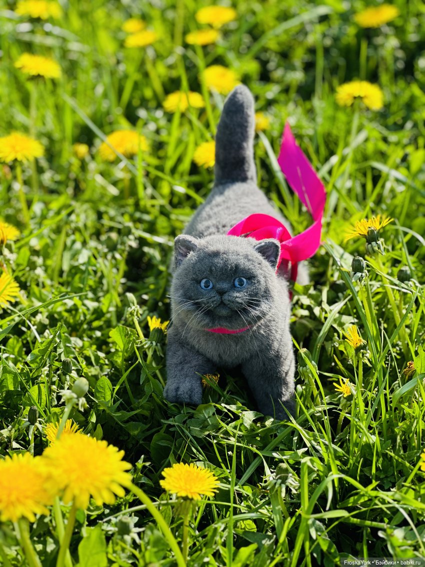 Весна и котики — Домашние фото авторских игрушек: Тедди (фото 10)