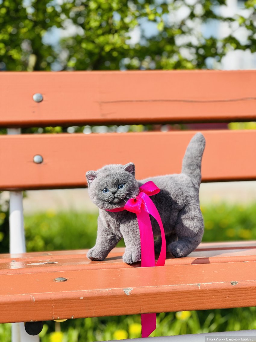 Весна и котики — Домашние фото авторских игрушек: Тедди (фото 6)