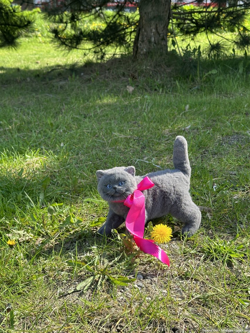 Весна и котики — Домашние фото авторских игрушек: Тедди (фото 3)