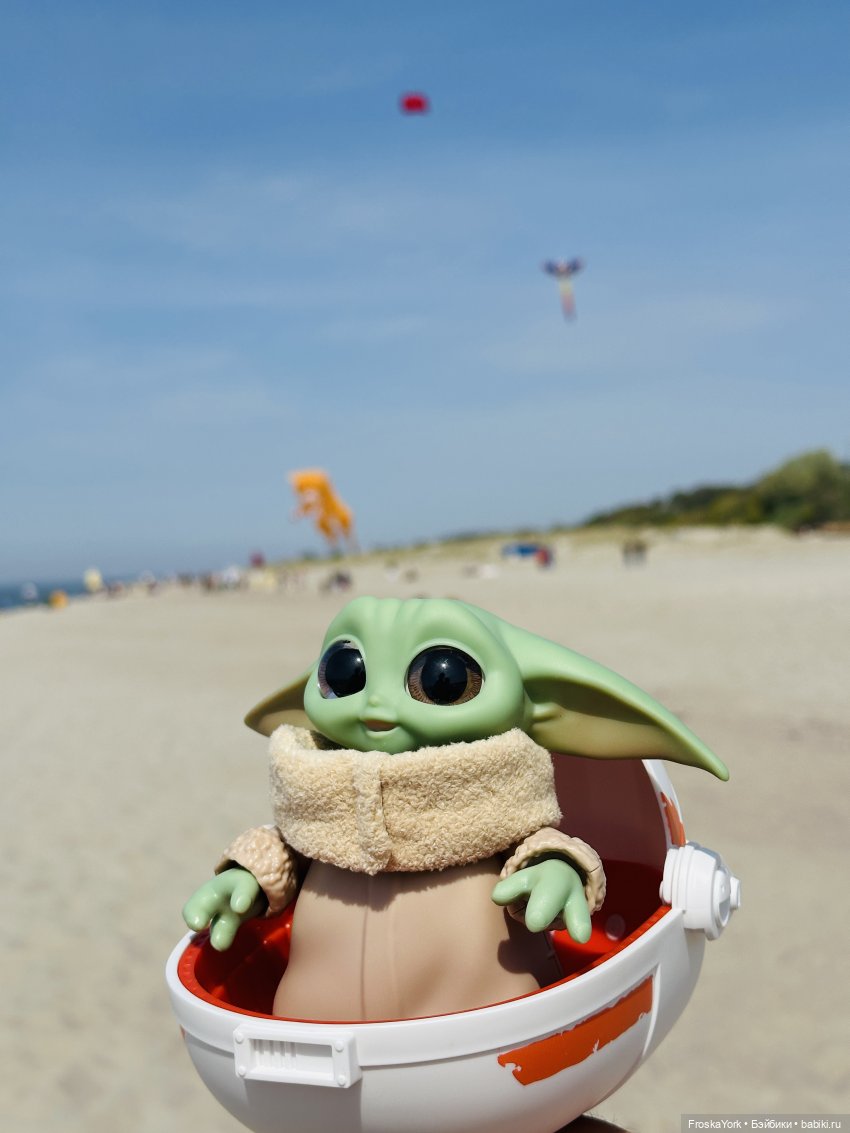 Как Пуговка на фестиваль воздушных змеев ездила (фото 10)