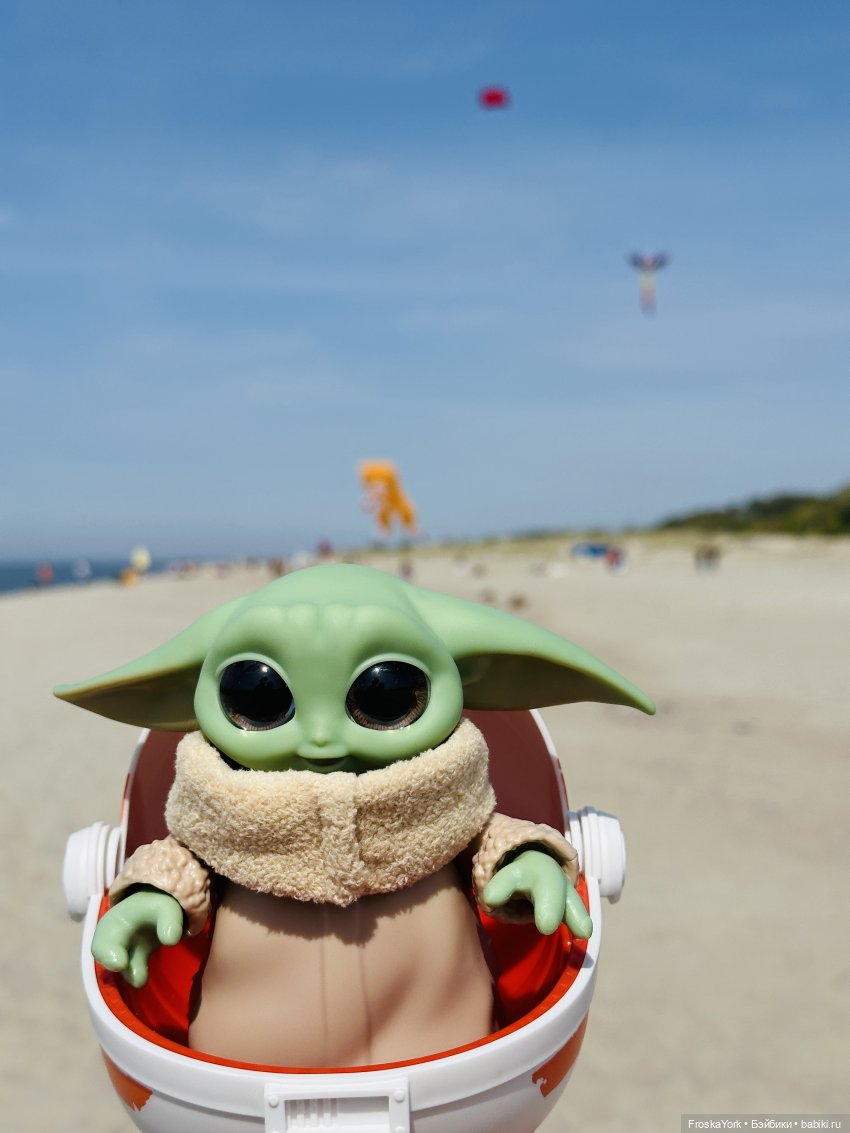 Как Пуговка на фестиваль воздушных змеев ездила (фото 9)