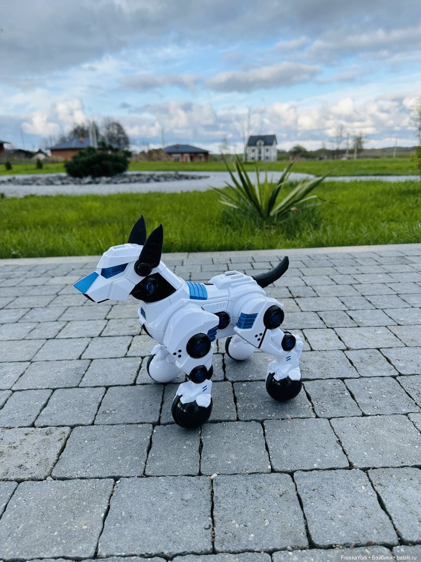 Время погулять с собачкой | Бэйбики Время погулять с собачкой (фото 5)