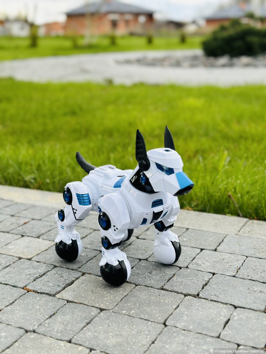 Время погулять с собачкой | Бэйбики Время погулять с собачкой (фото 3)