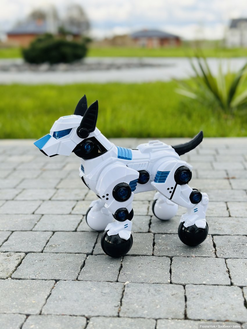 Время погулять с собачкой | Бэйбики Время погулять с собачкой (фото 4)