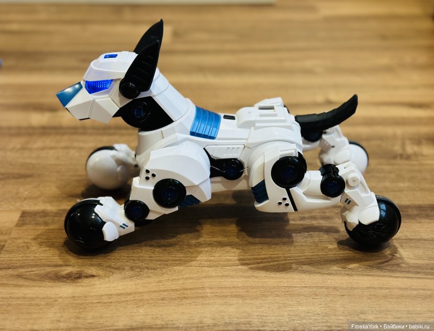 Время погулять с собачкой (фото 9)