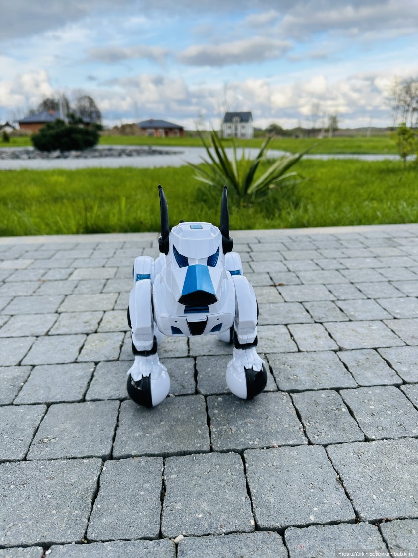 Время погулять с собачкой | Бэйбики Время погулять с собачкой (фото 6)