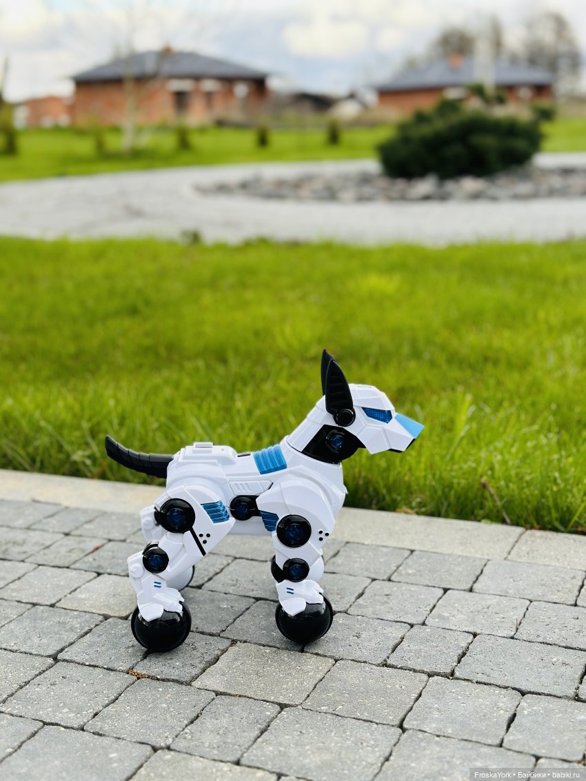 Время погулять с собачкой | Бэйбики Время погулять с собачкой