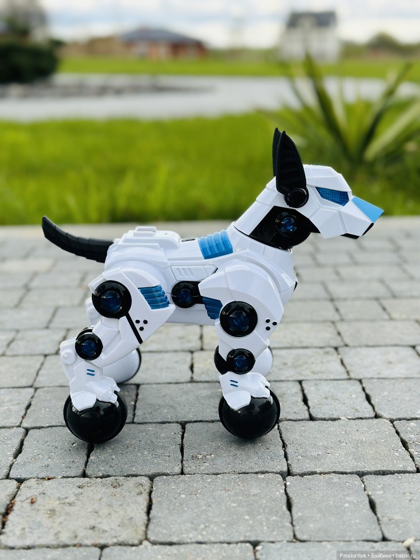 Время погулять с собачкой | Бэйбики Время погулять с собачкой (фото 2)