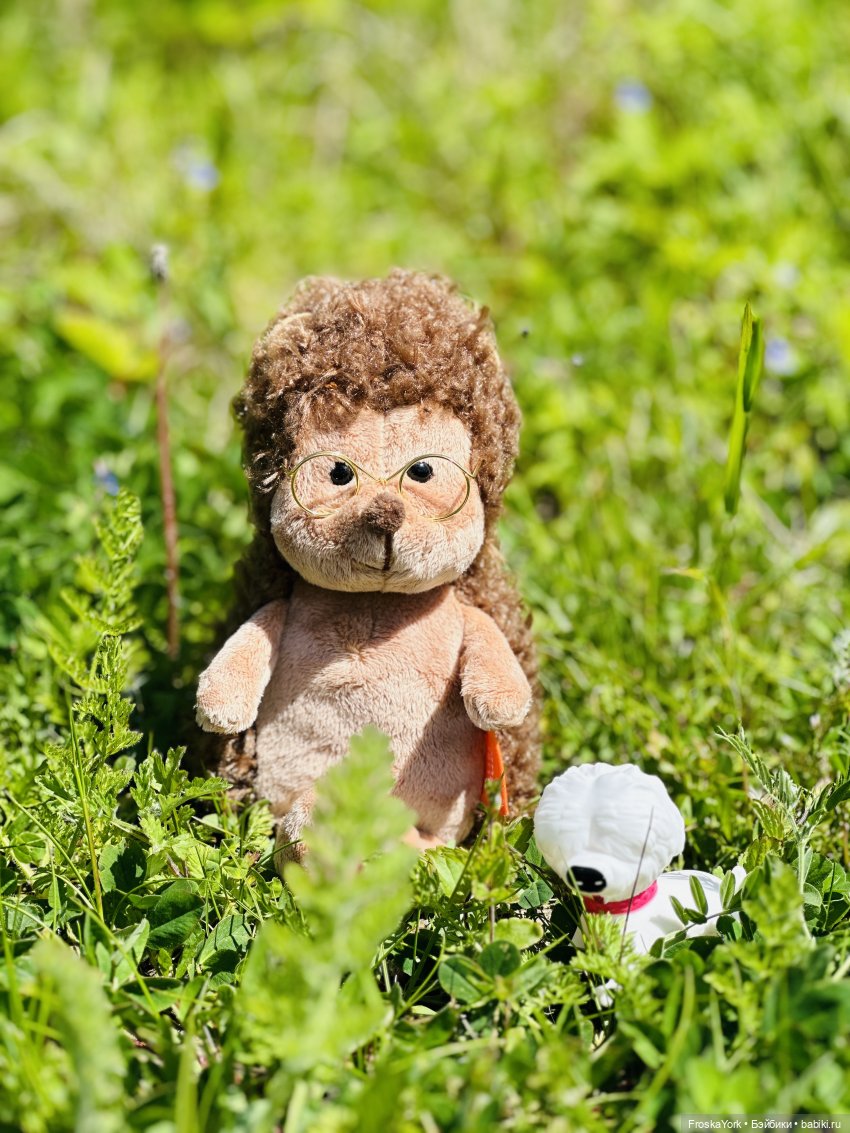 Фёкла, Филинская бухта и Ёжик (фото 8)