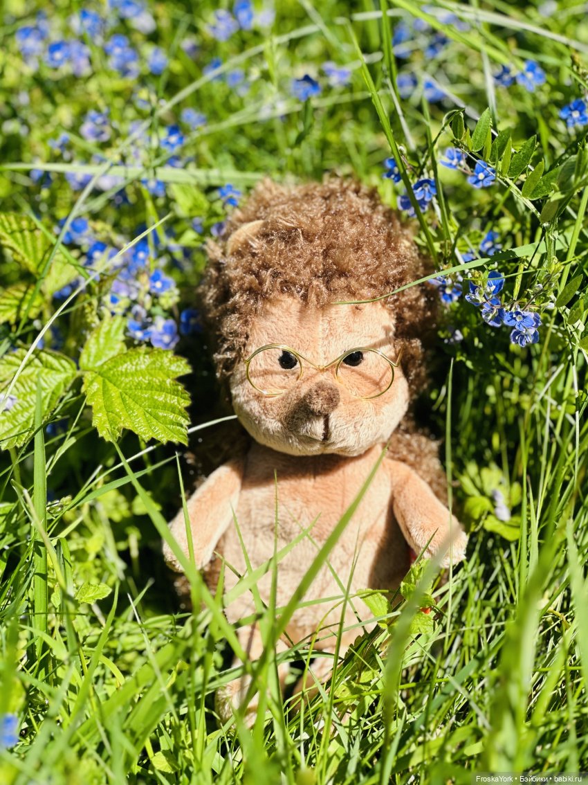 Фёкла, Филинская бухта и Ёжик (фото 7)