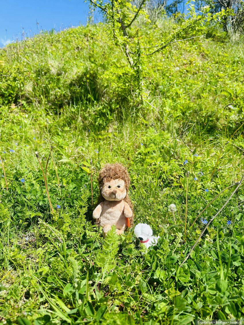 Фёкла, Филинская бухта и Ёжик (фото 9)