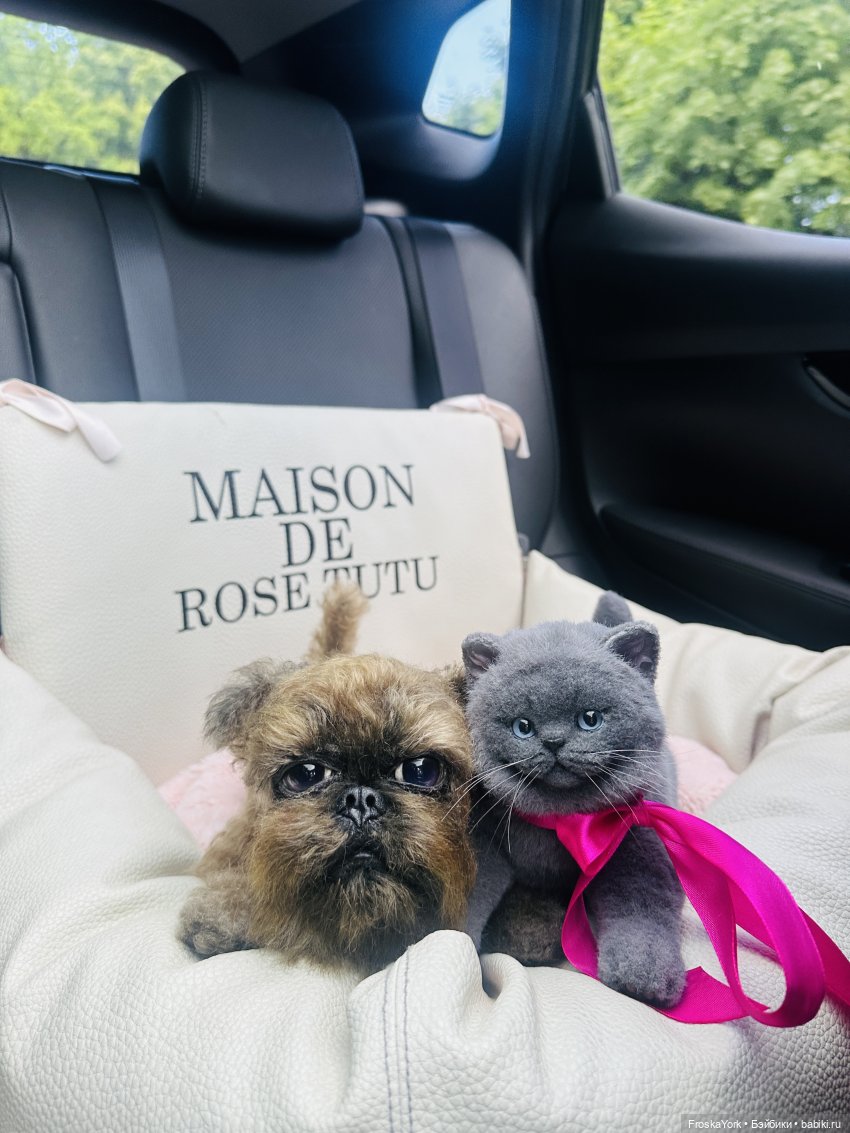 Лола и Лексус на прогулке (фото 2)