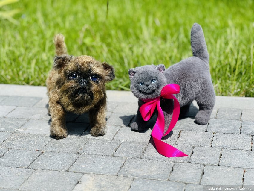 Лола и Лексус на прогулке