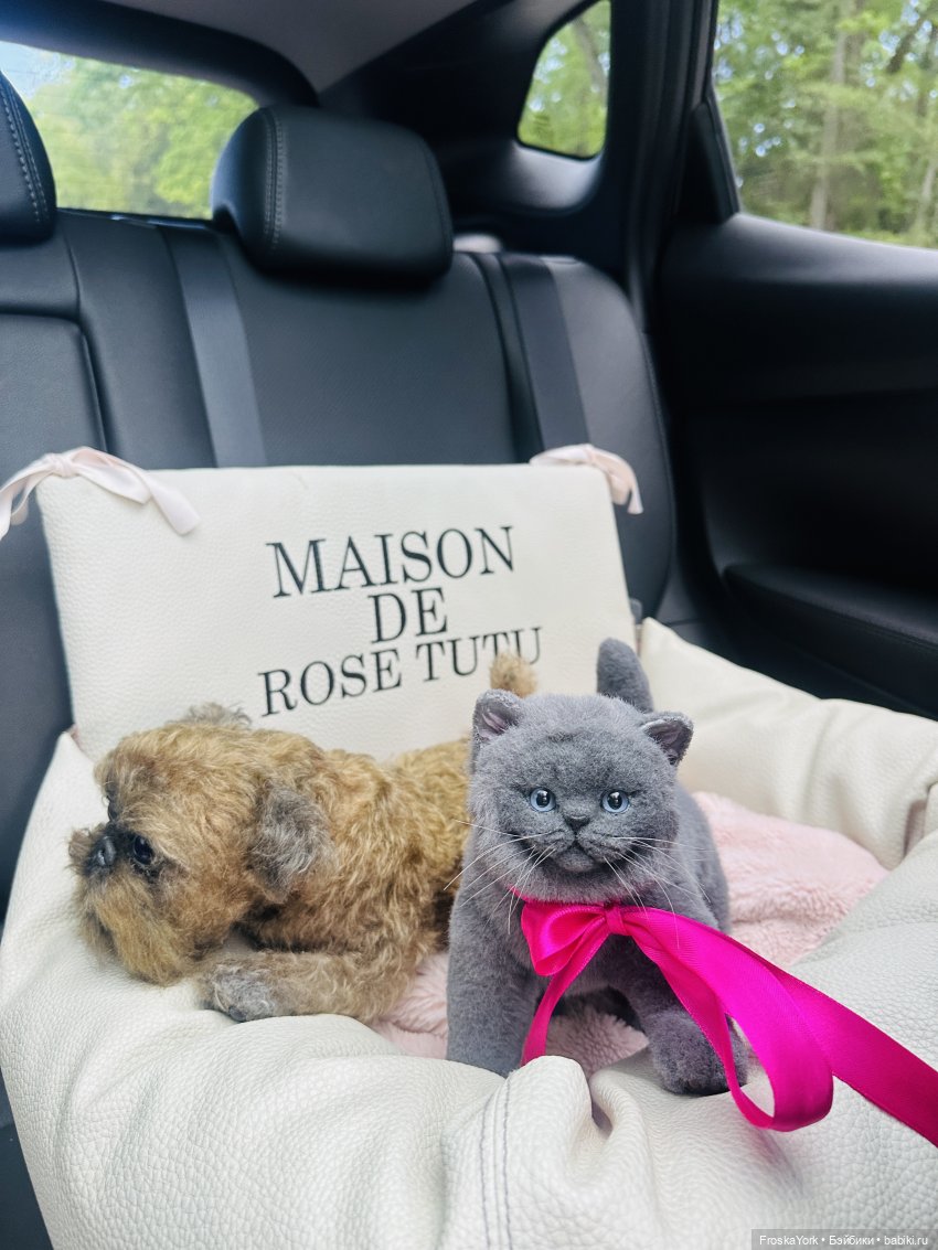 Лола и Лексус на прогулке