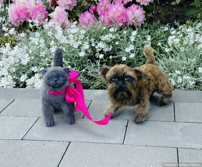 Лола и Лексус на прогулке