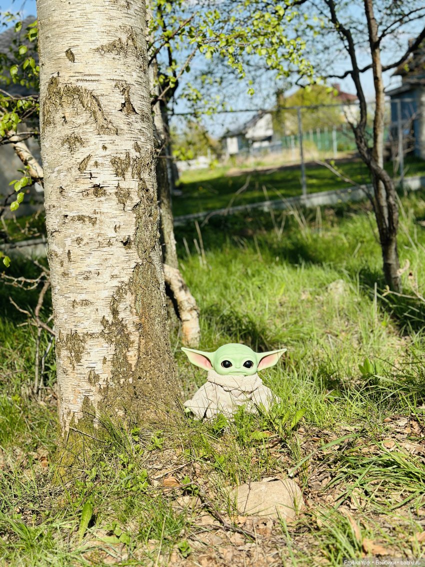 Питомец для Йоды и новый малыш (фото 7)
