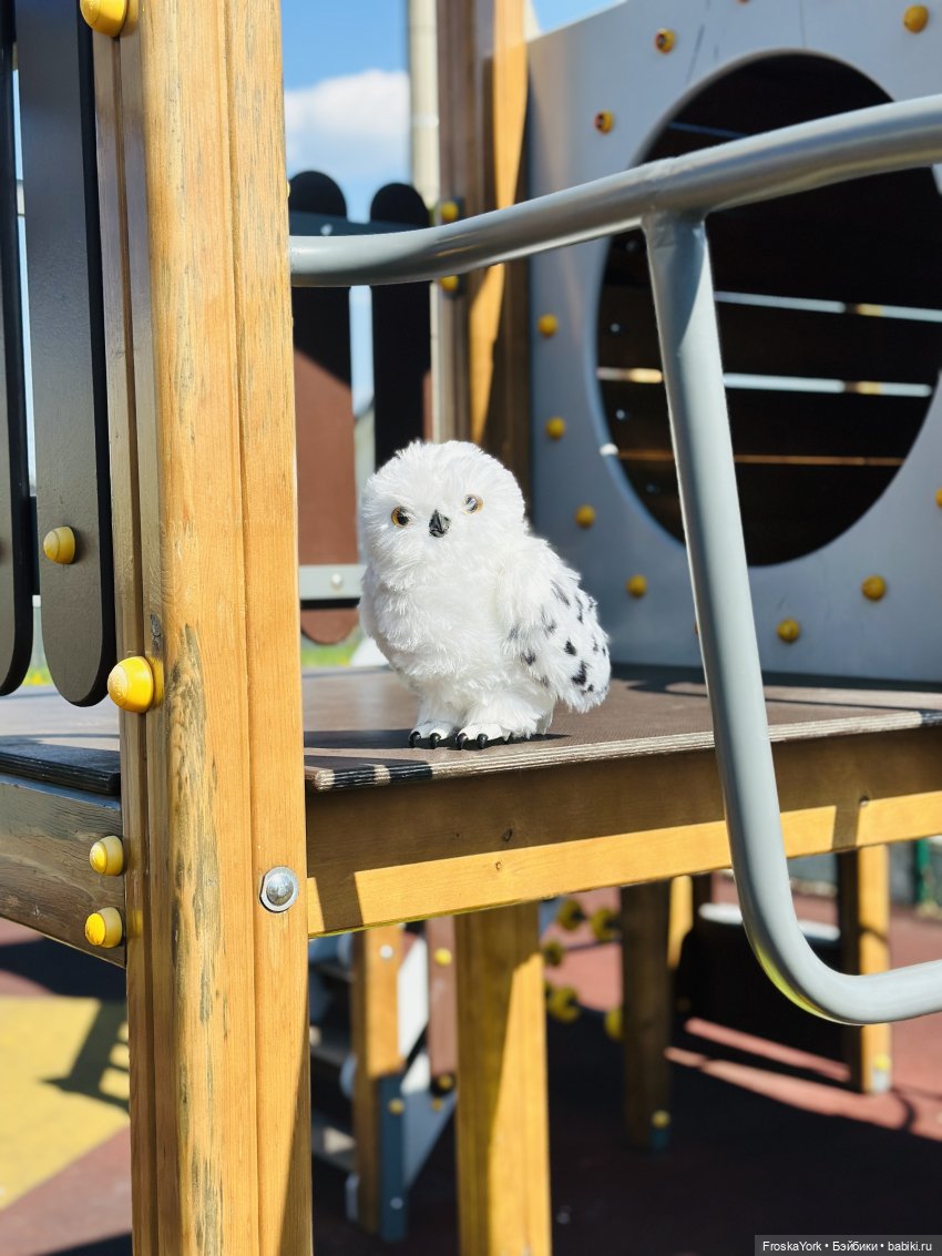 Питомец для Йоды и новый малыш (фото 4)