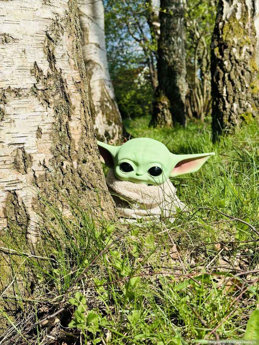 Питомец для Йоды и новый малыш (фото 6)