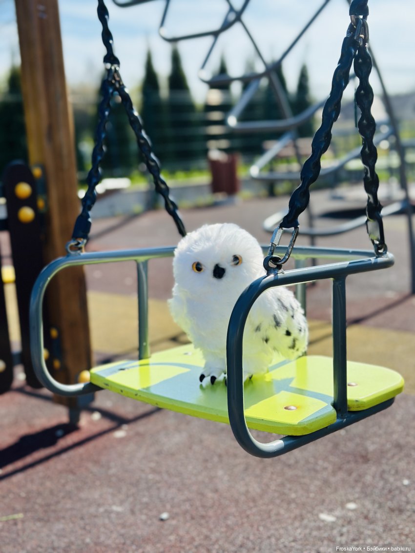 Питомец для Йоды и новый малыш (фото 5)