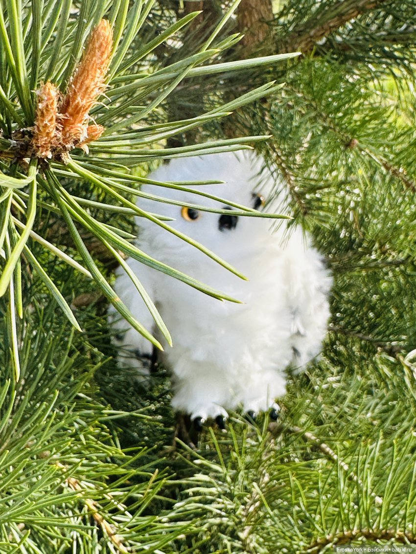 Питомец для Йоды и новый малыш (фото 2)