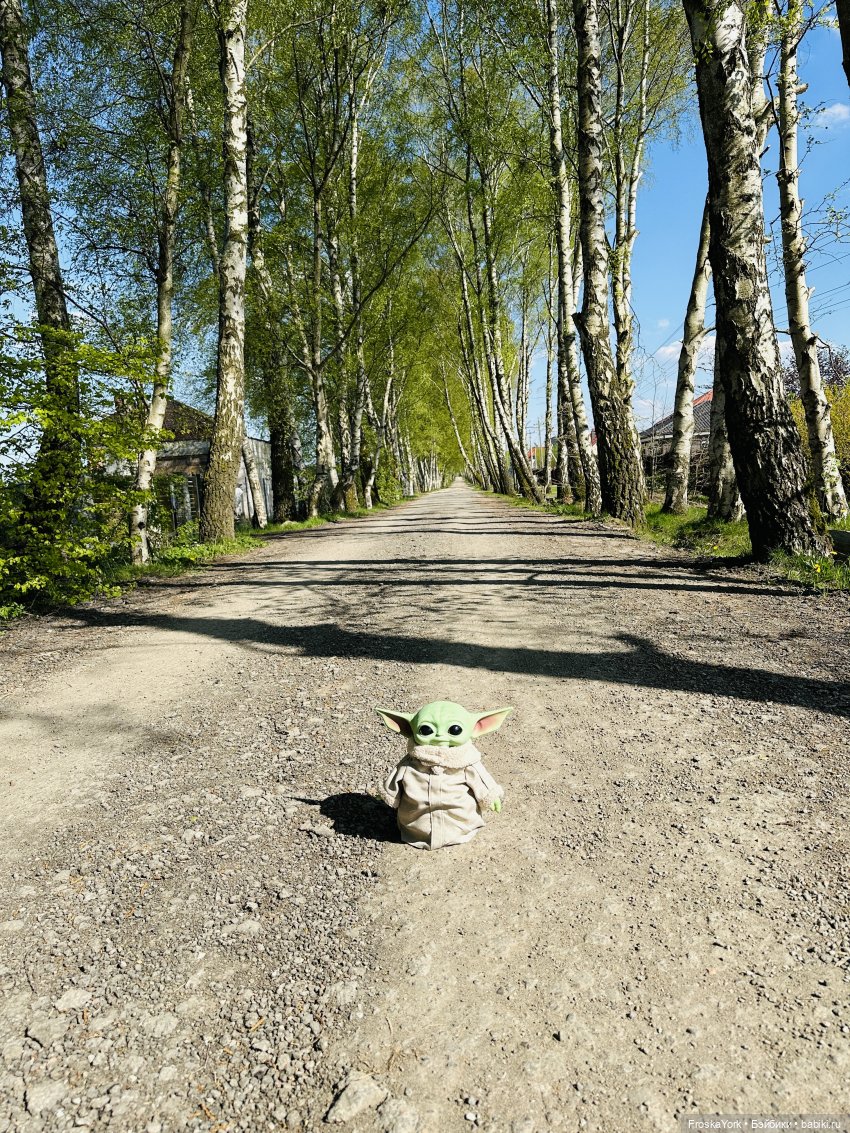 Питомец для Йоды и новый малыш (фото 9)