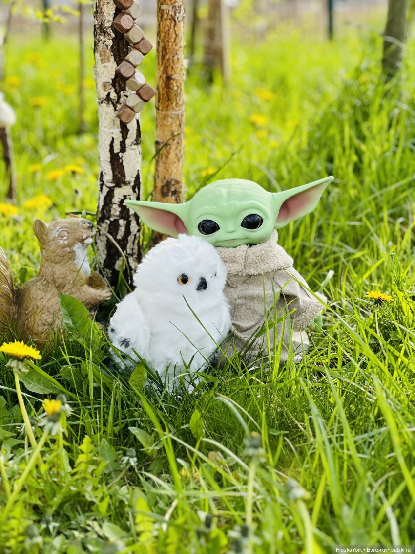 Питомец для Йоды и новый малыш (фото 10)
