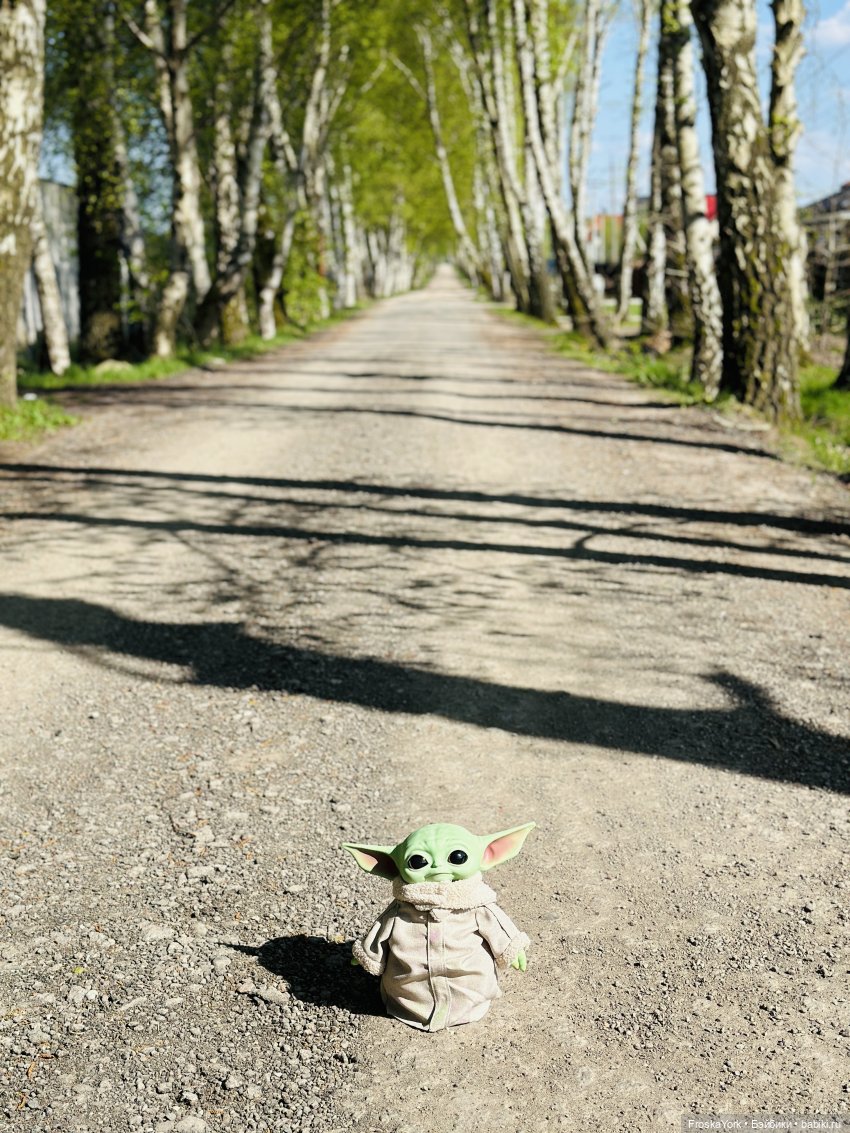 Питомец для Йоды и новый малыш (фото 8)