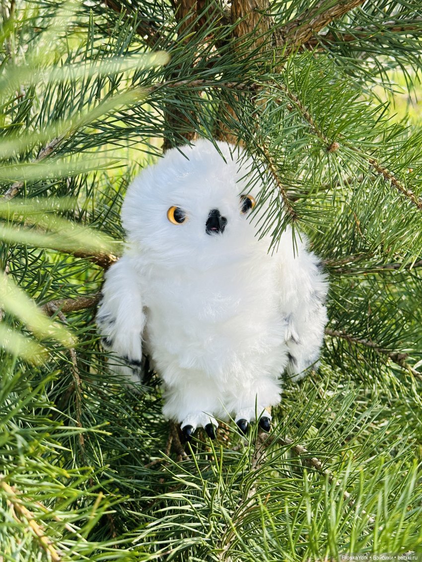 Питомец для Йоды и новый малыш