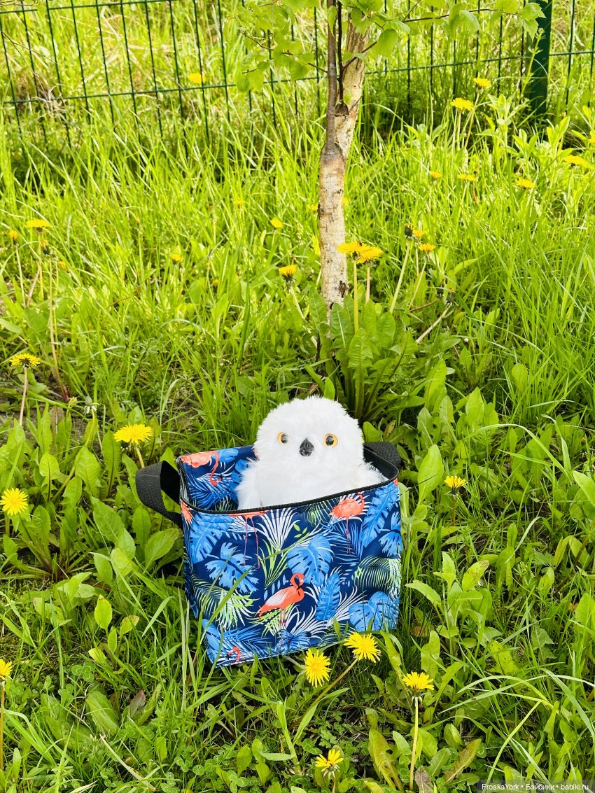 Питомец для Йоды и новый малыш