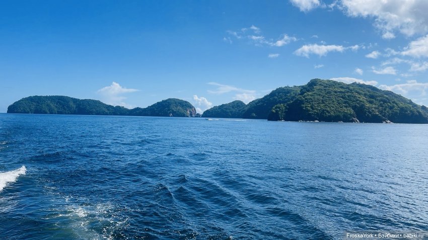 Динозаврик из Нью-Йорка❤️❤️❤️ (фото 7)