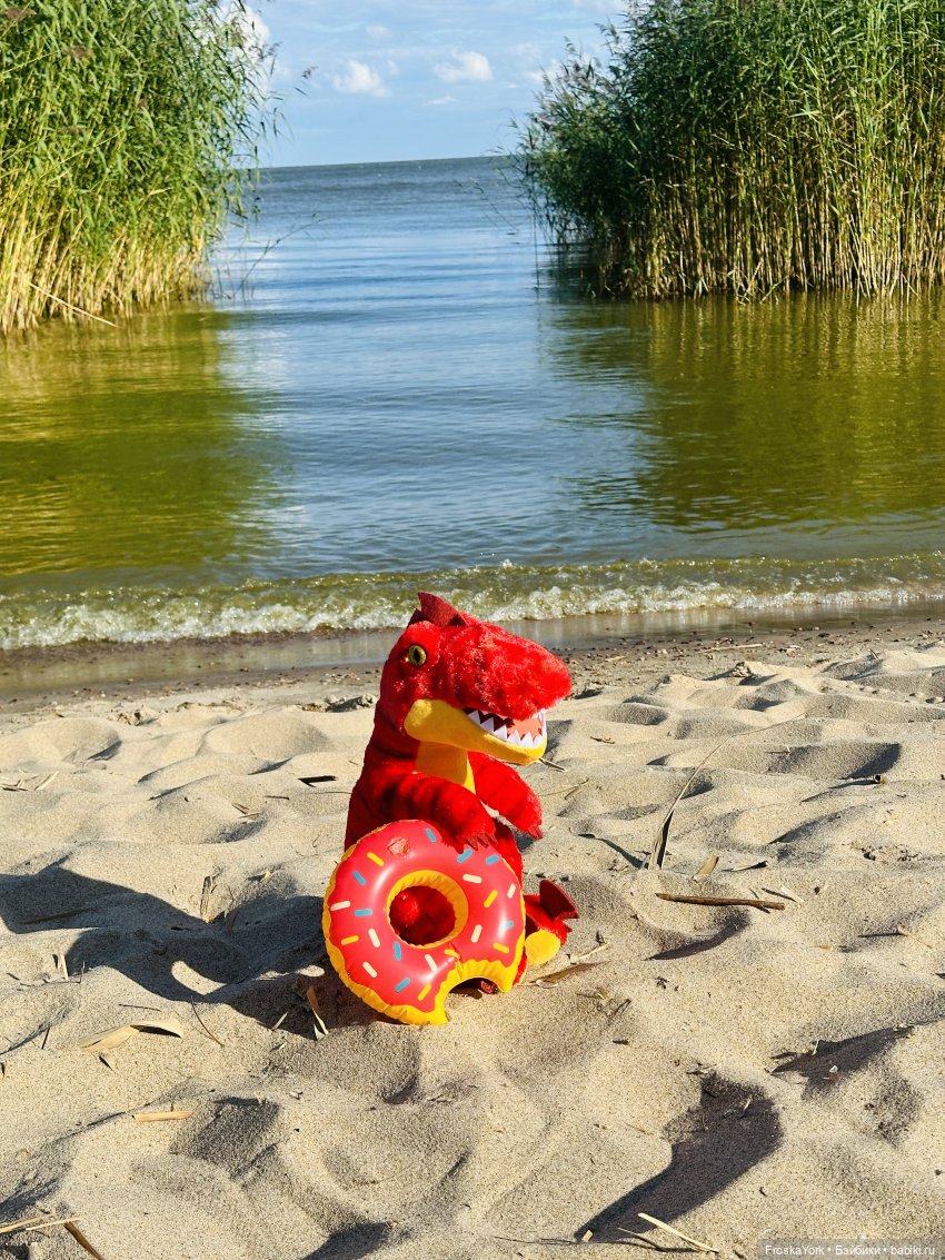 Динозаврик из Нью-Йорка❤️❤️❤️ (фото 10)