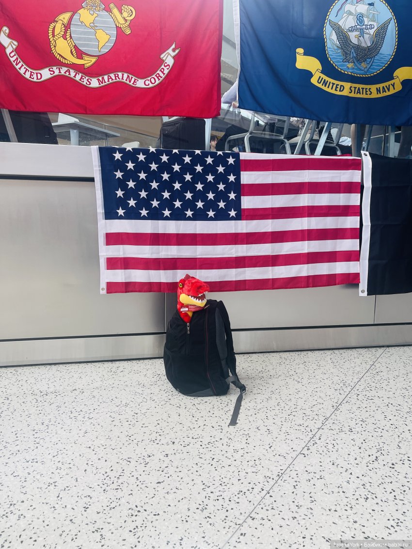 Динозаврик из Нью-Йорка❤️❤️❤️ (фото 2)