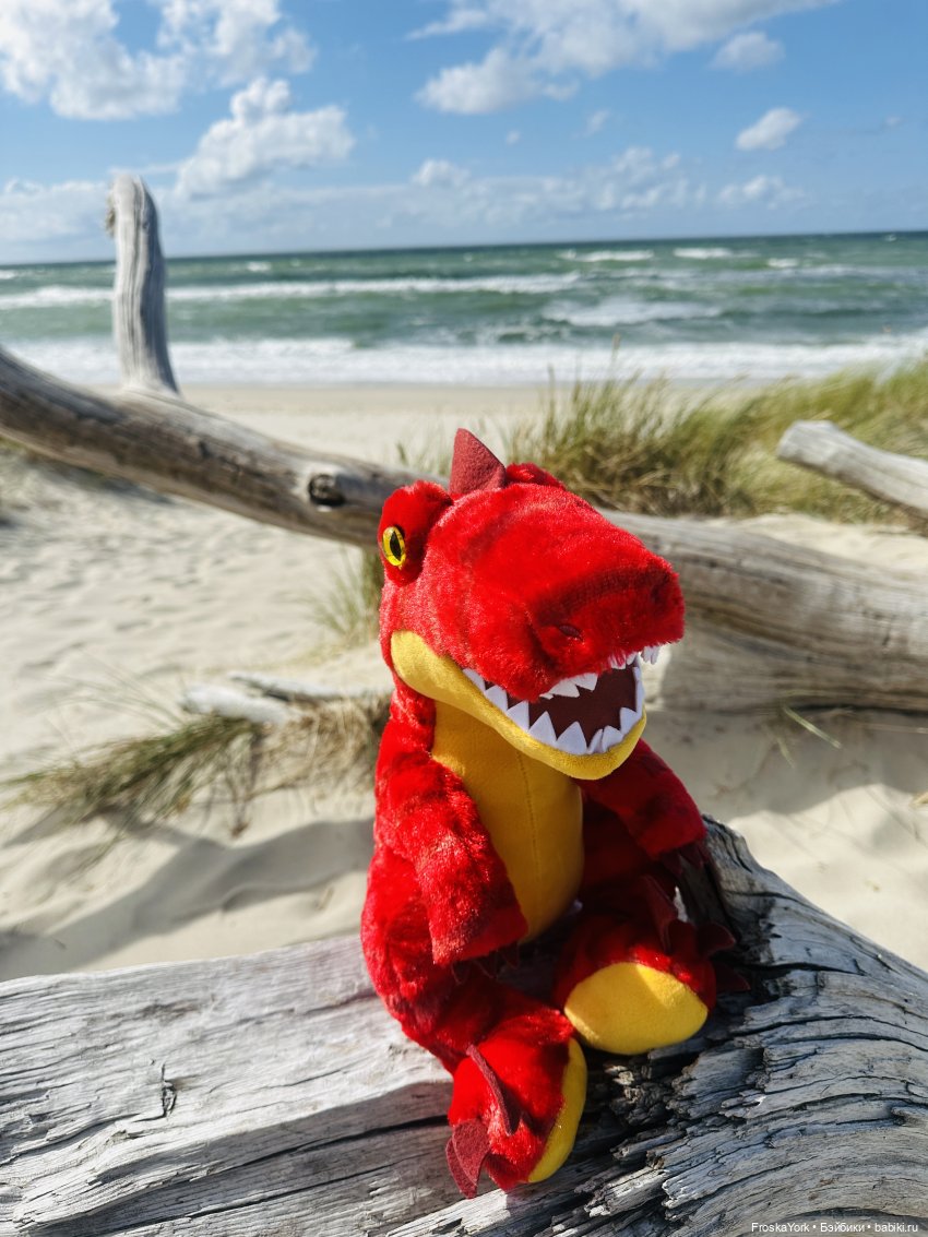 Динозаврик из Нью-Йорка❤️❤️❤️ (фото 9)