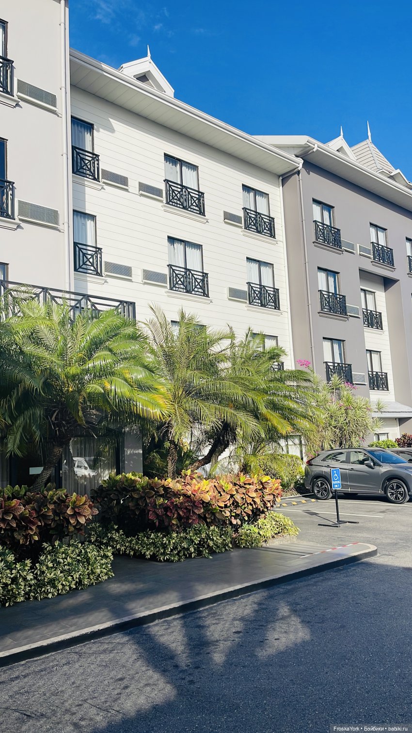 Динозаврик из Нью-Йорка❤️❤️❤️ (фото 3)