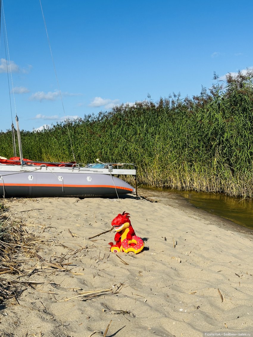 Динозаврик из Нью-Йорка❤️❤️❤️