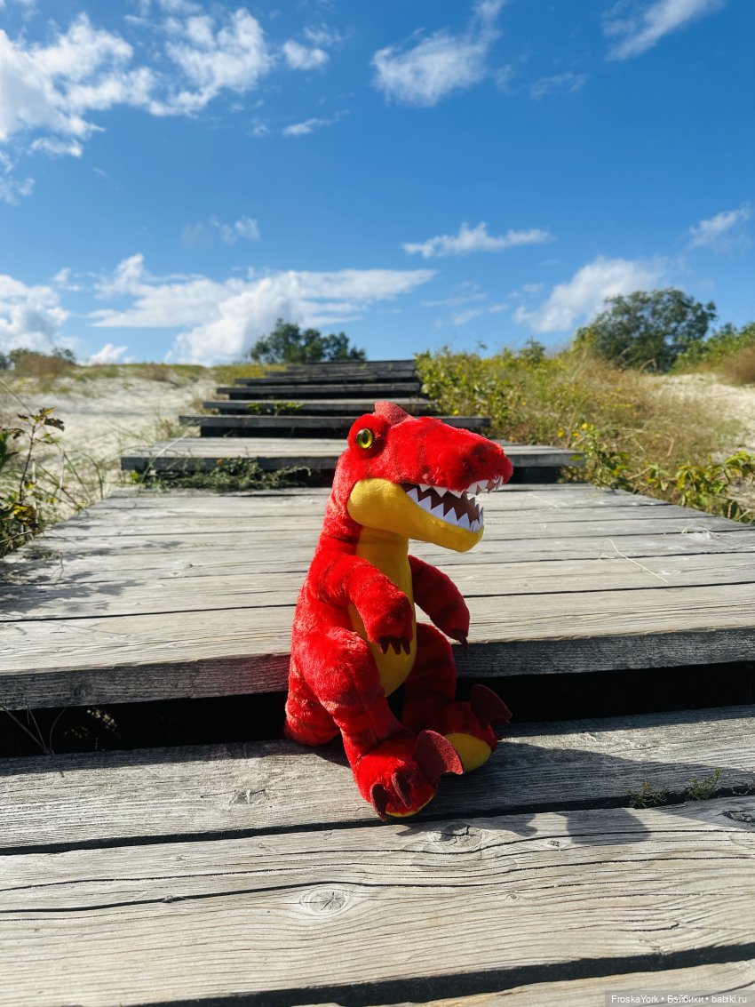 Динозаврик из Нью-Йорка❤️❤️❤️ (фото 8)