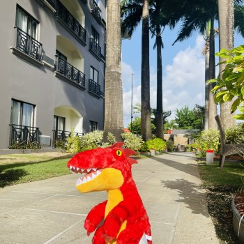 Динозаврик из Нью-Йорка❤️❤️❤️