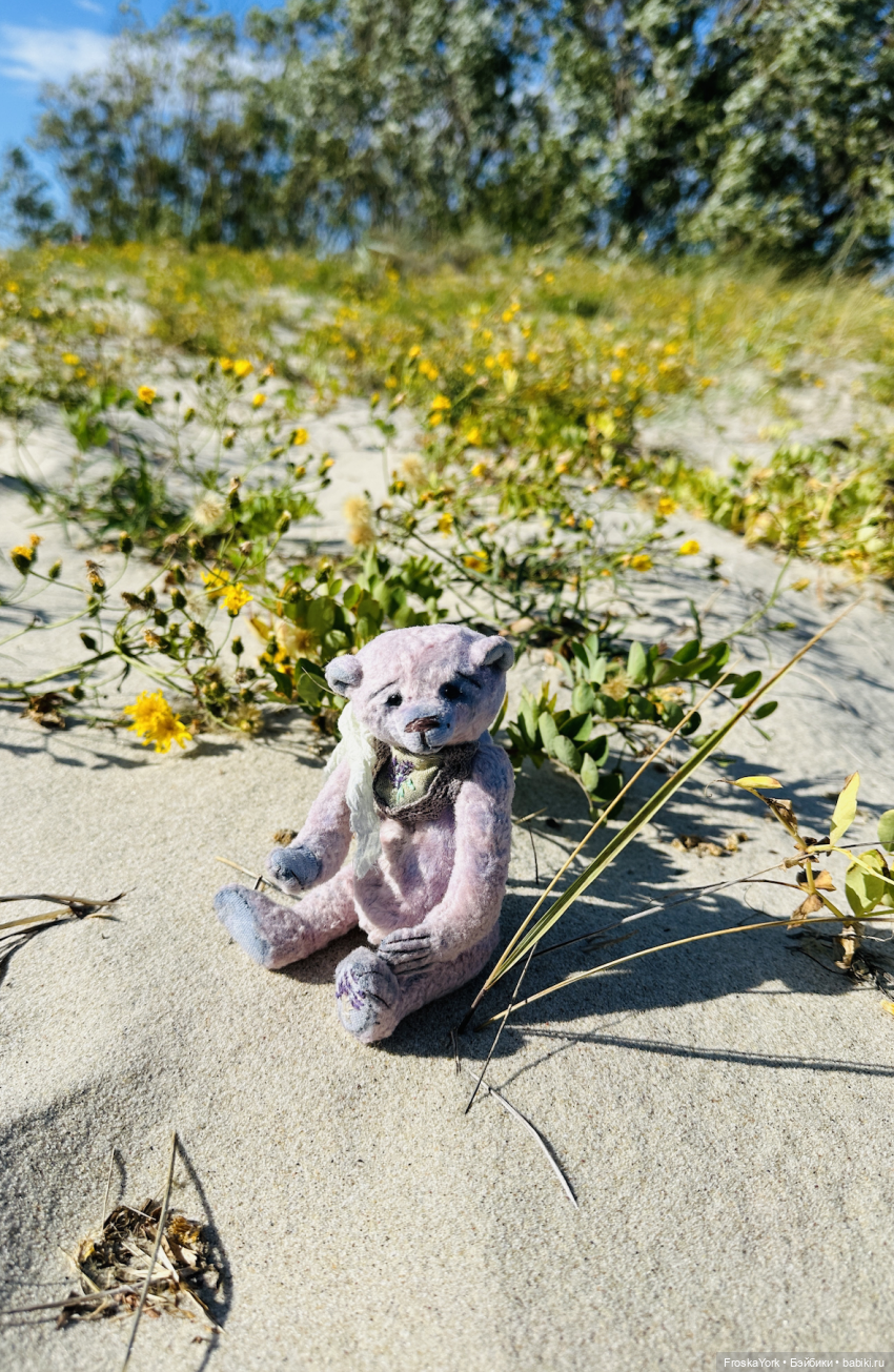 Мишка Лав ❤️❤️❤️ Летние прогулки ☀️🌊🎉 (фото 2)