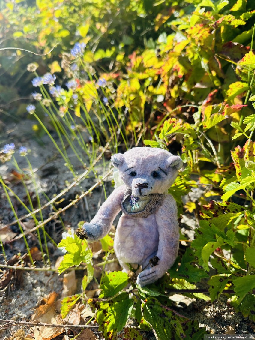 Мишка Лав ❤️❤️❤️ Летние прогулки ☀️🌊🎉 (фото 4)