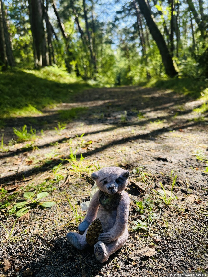 Мишка Лав ❤️❤️❤️ Летние прогулки ☀️🌊🎉 (фото 7)